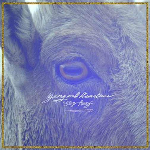 Альбом Young and Heartless Stay Away (CD)