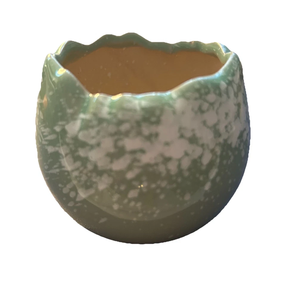 "Pequeña maceta para plantas suculentas verde salvia claro y blanco moteado 3"" a través" Foto 4 de 4