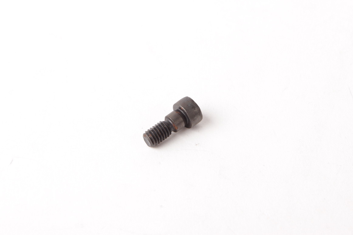 BMW M52 M54 Engine VANOS Camshaft Torx Bolt LHT 1748745