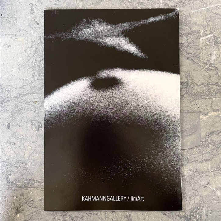 VISIONARY VISION OF SANNE SANNES photoalbum 2011 Limited to