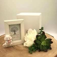 Portafoto Gattino Rosa 9x11 - Articolo da Regalo, Home Design