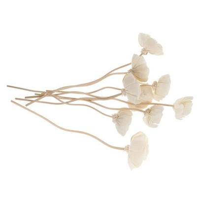 9 Pcs Aroma Diffuser Kabellos Öldiffusorstäbe Aroma-Diffusoren Stecken