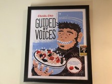 18 x 22 or 19 x 23 PROFESSIONAL poster picture frame 20.5 x 24.5