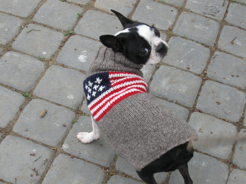 American Flag Dog Sweater Chilly Dog Hand Knit Wool XXS-XXXL Pet Puppy Warm Pet - Image 2 of 4