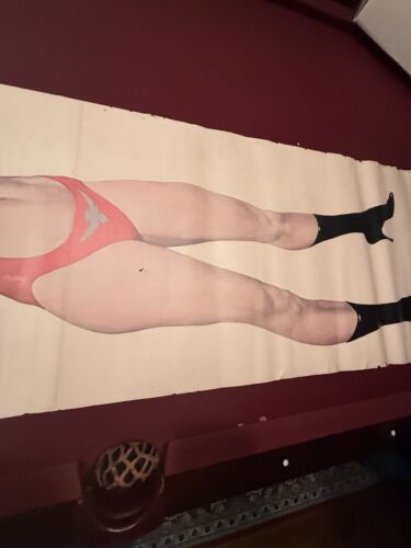 Vampirella Poster Large 75” x 24” Warren Door Panel 1972 - Bild 8 von 10
