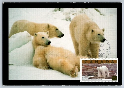 Canada 2003 Polar Bear FDC Maxi Card