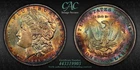 CACG Uncirculated 1885-P Morgan Silver Dollar, Gorgeous, Dual-Rainbow Toning!