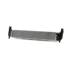 RIDEX 470R0671 Radiador refrigeración del motor para SKODA Fabia II Combi (545)