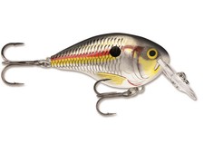 Rapala DT 4 Crankbait Shad