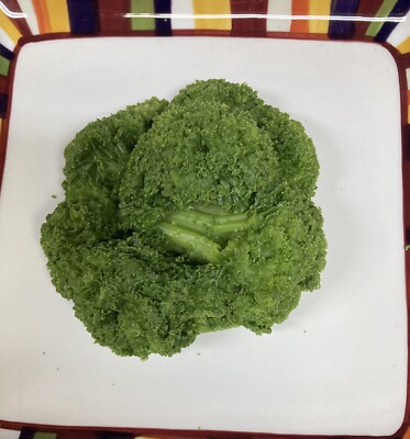 Faux Fake Food Vegetable Broccoli Deli Display Prank Stage Photo Movie VBCNSX