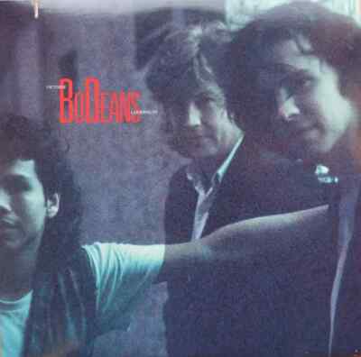 BoDeans Outside Looking In Reprise Records Vinyl LP