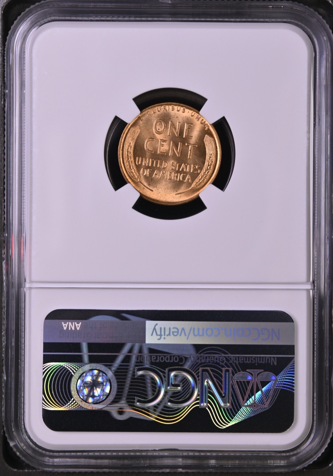 Picture 2 of 2
