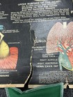 Picture 7 of 22