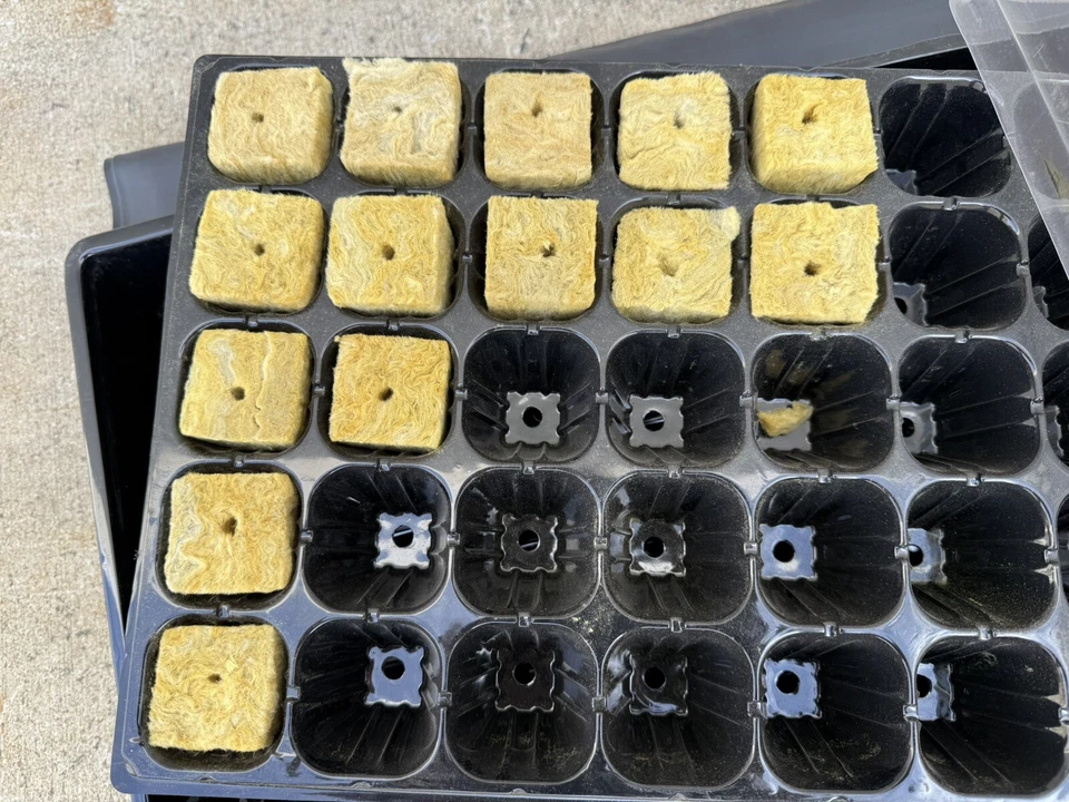 10" x20" 50 Cell Seedling Starter Kit Seed Tray Dome 2x2 Rockwool Block Heat Mat - Image 3 of 4