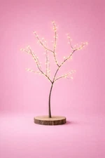 Decorative Birch Branch: 6' Tall x 5’ wide  Treasure! Natural Wood