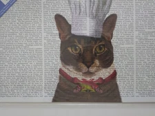 Charlie Cat Placemat Set (8) PPD USA Reusable Reversible Coated Paper Placemats