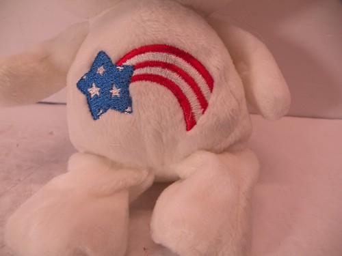2002 20th Anniversary 8" America Cares Bear New Care Bears Plush - Imagen 2 de 4