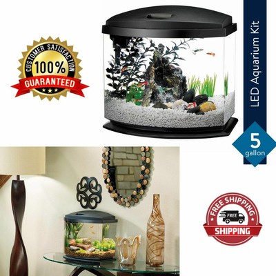 mini bow 5 gallon fish tank