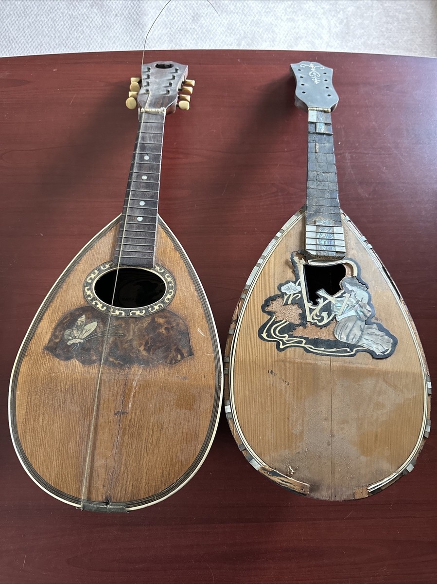 希少 ヴィンテージ RexProfessional ボウルバックマンドリン 希少