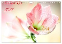 "Calendar 2027 · US Version · Flowers / 2027 (Wall Calendar 2027 12\" × 8\" Landsca"
