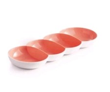 Tupperware Antipastiera Allegra Salmone