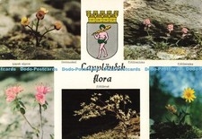 D250674 Lapplansdk Flora Lapsk Alpros Isranunkel Ultraforlaget AB Sven Hornell M