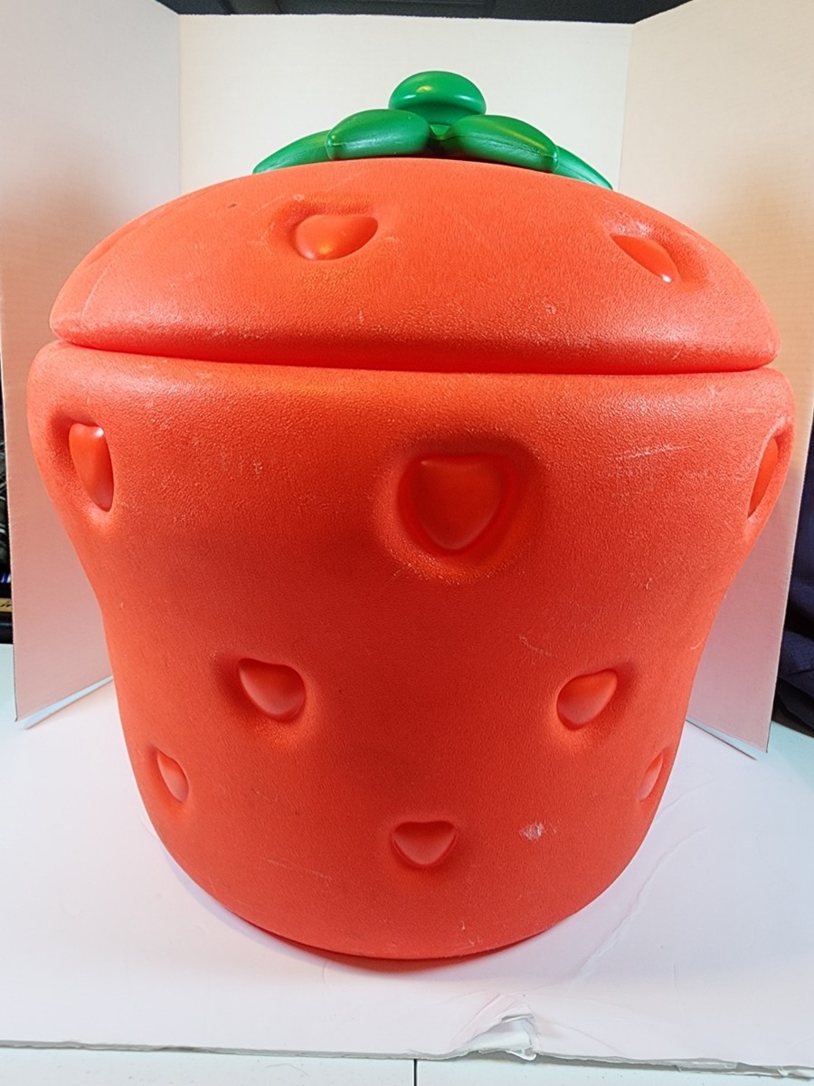 Vintage 1980s Little Tikes Strawberry Shortcake Toy Box Storage