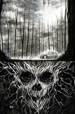 STILLWATER #1 MICELLI VIRGIN VARIANT NM CHIP ZDARSKY SKYBOUND 2020