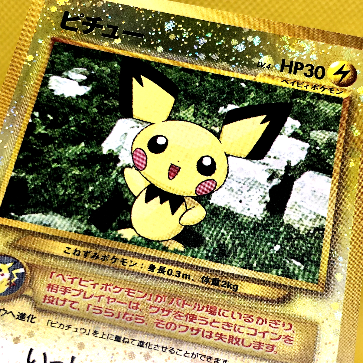 2201060 ピチュー_プレミアムファイル2 PROMO No.172 ポケモンカードゲーム プレミアムファイル2 No.172 ピチュー LV