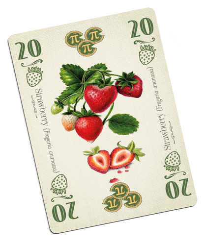 Torten Kartenspiel Kniffliger Trick Allplay Familie Obst Set Sammlung - Bild 2 von 6