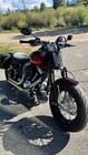 2008 Harley Davidson Softail