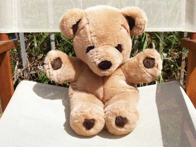 Vintage GUND Stitch Teddy Bear 16â Plush #2118 1979 85th Anniversary Chest Tag for sale online