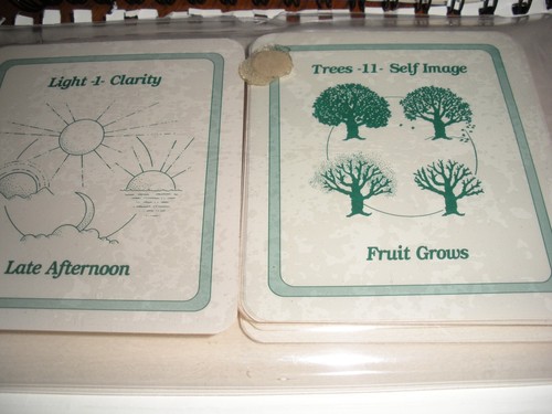 Nature's Wisdom Deck by Carl L. McClelland, Ph.D., 1993 - Picture 4 of 6