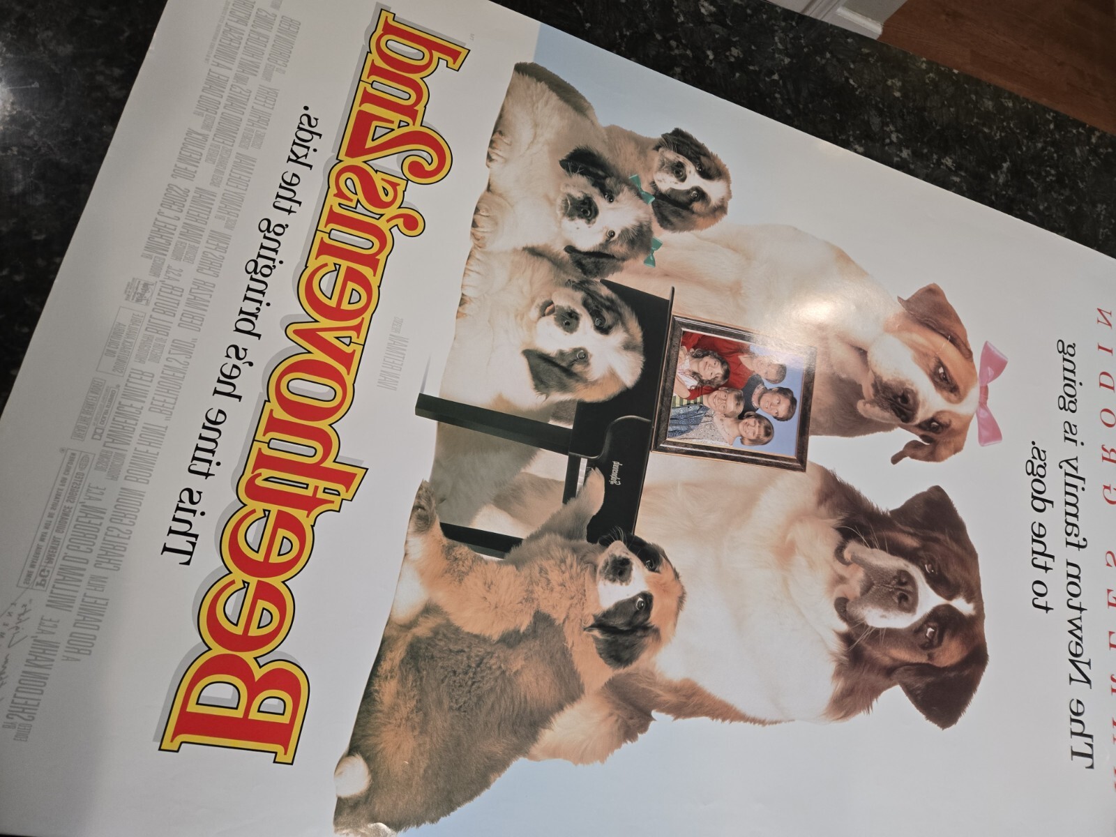 Beethoven's 2nd (1993) Official Movie Poster 27X40 Original Rolled Double Side 