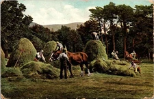 hay farming 1908 color lithograph postcard
