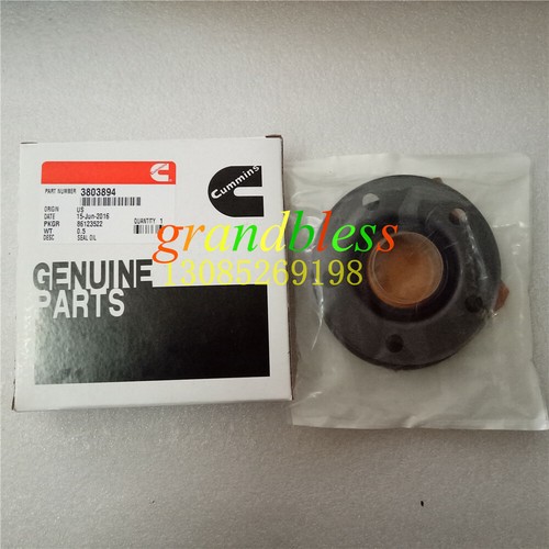 1 PCS New Cummins M11 Oil Seal 3803894 - Afbeelding 2 van 2