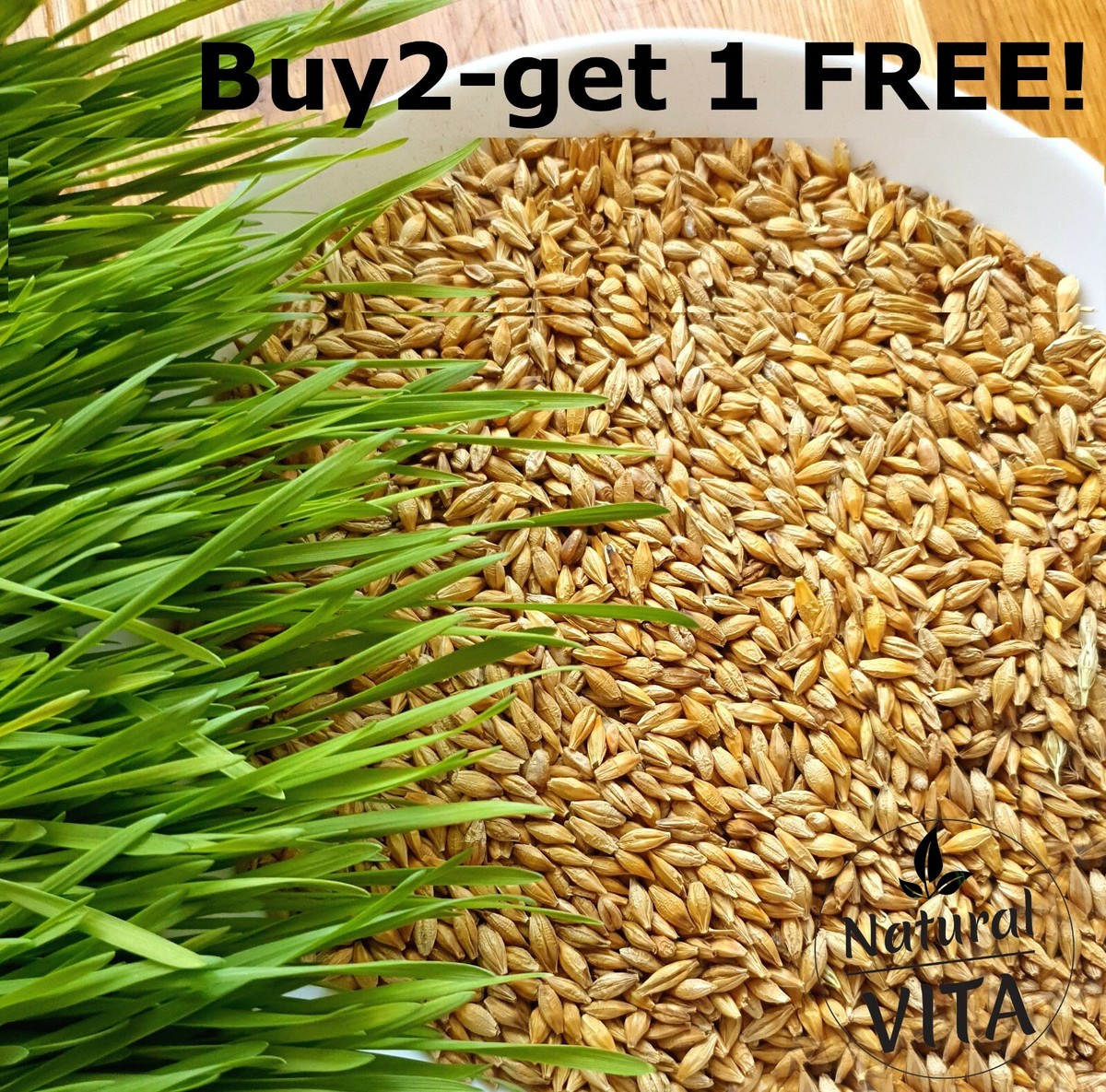 Organic Barley Grass seeds Pets Love it! For dogs lizards
