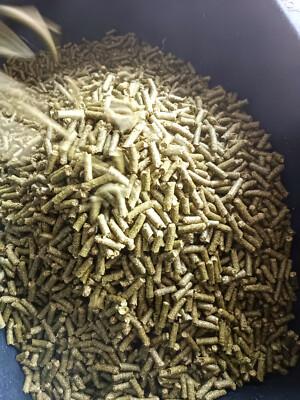 20 kg Heupellets Heucobs Heusteggelich aus BioHeu Pferdefutter Nager 