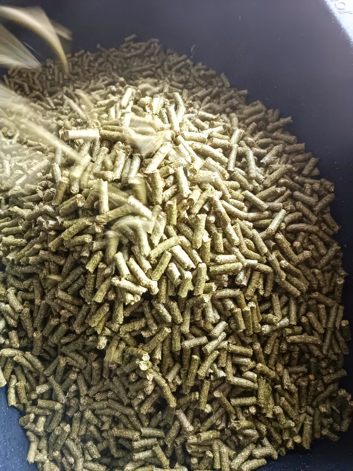20 kg Heupellets Heucobs Heusteggelich aus BioHeu Pferdefutter 0,65€/kg + NK - Bild 2 von 4