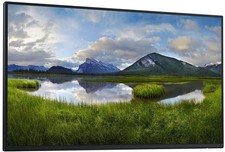 Dell P2425H 23,8" 100Hz FHD Monitor (ohne Standfuß) Neu