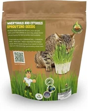 1 Pound of Cat Grass Wheatgrass Seeds Non GMO Sprouting Nutritious Health to Eat