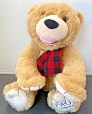 FAO Schwarz Teddy bear 12 in "2019 Bears that care"