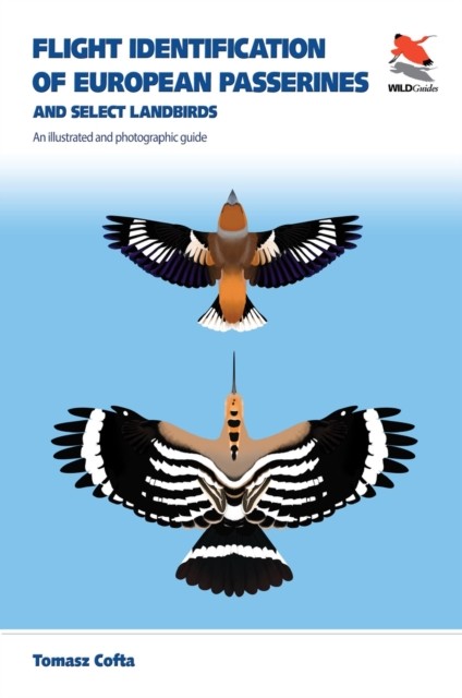 Flight Identification of European Passerines and – An Illustrated and - Image 4