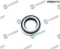 Dr.Motor Automotive DRM02174 Wellendichtring, Differential For Alfa Romeo CitroË