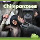 Chimpanzees by Clay, Kathryn