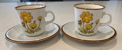 2 Vintage Mikasa Natural Beauty Southern Sun Teacups and Saucers C9006 Amazing!