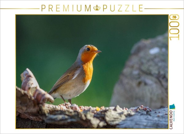 Calvendo Puzzle Das Rotkehlchen | 1000 Teile Lege-GrößE 64X48Cm Foto-Puzzle FüR-image