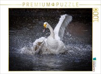 Calvendo Puzzle Dance 02 | 1000 Pieces, Finished Size 25.2 × 18.9 In (64 × 48 Cm