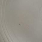 Vintage Fiestaware Ivory Platter 14”Hlc Homer Laughlin Usa — photo 9