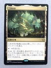 Mtg Magic Bloomburrow Three Tree City Japan Jp NM Card